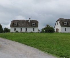 Thatched roof cottages